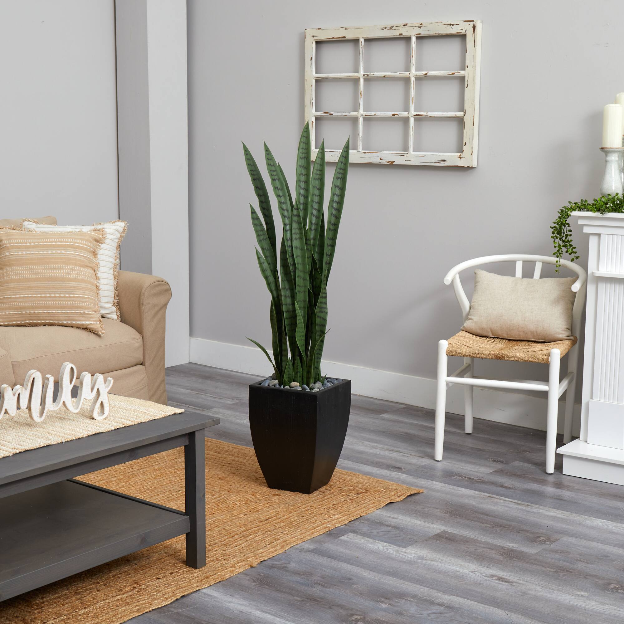 4.5ft. Snake Plant in Decorative Black Planter